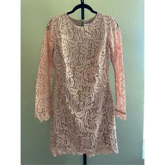 Dress the Population Long Sleeve Crochet Lace Dress in Champagne Peach Size S - Picture 2 of 5
